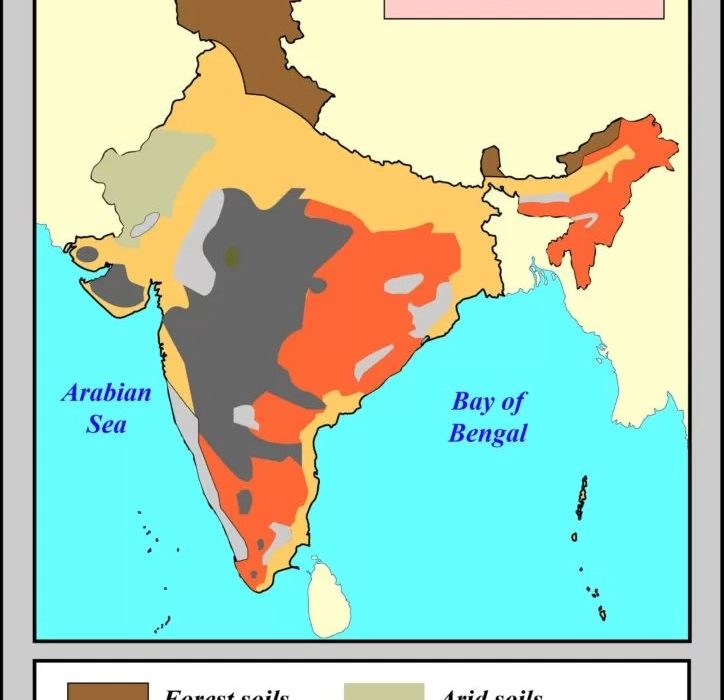 Major soil