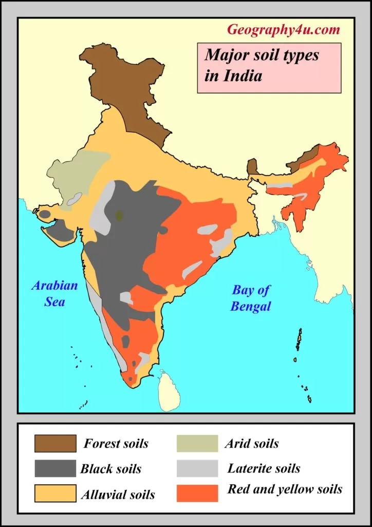 Major soil